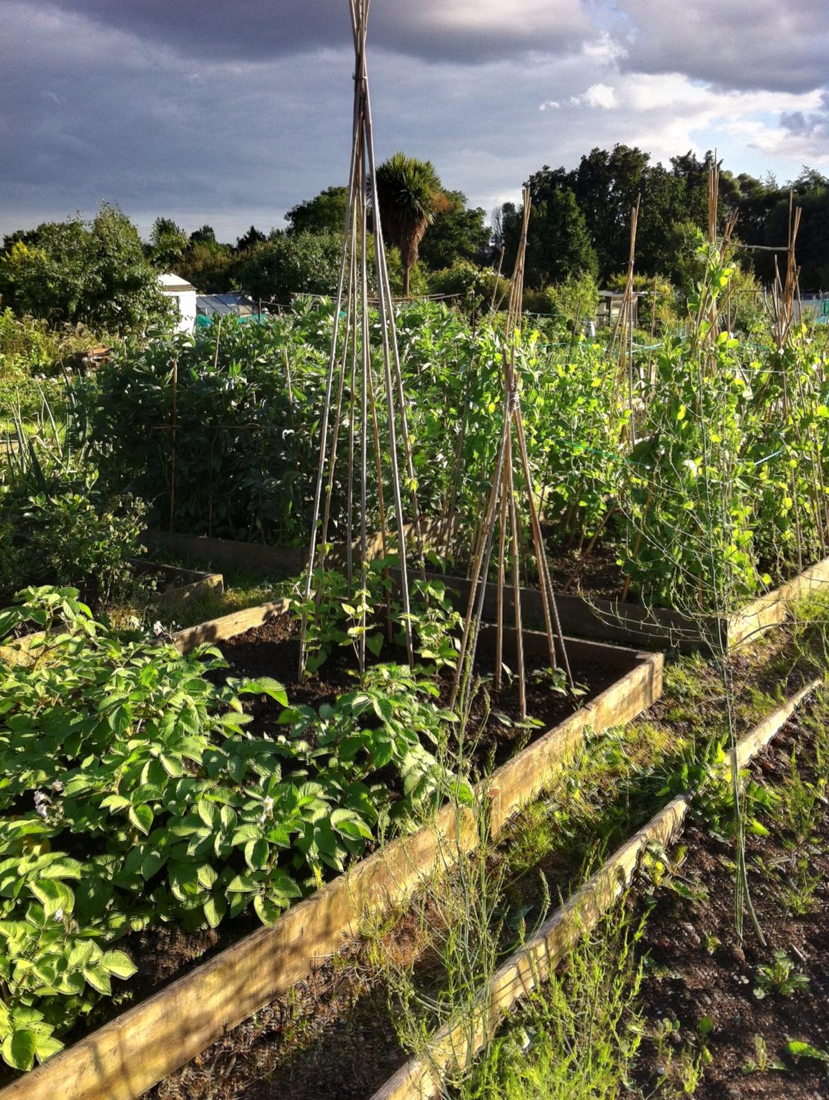 GGAA community moment