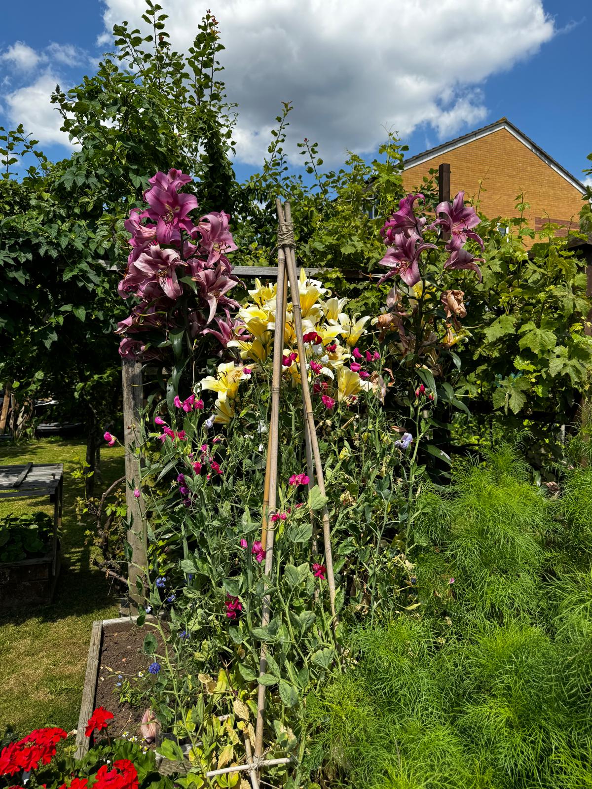 Flowers
